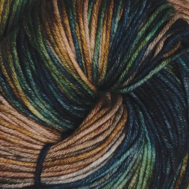 symfonie vive la couleur