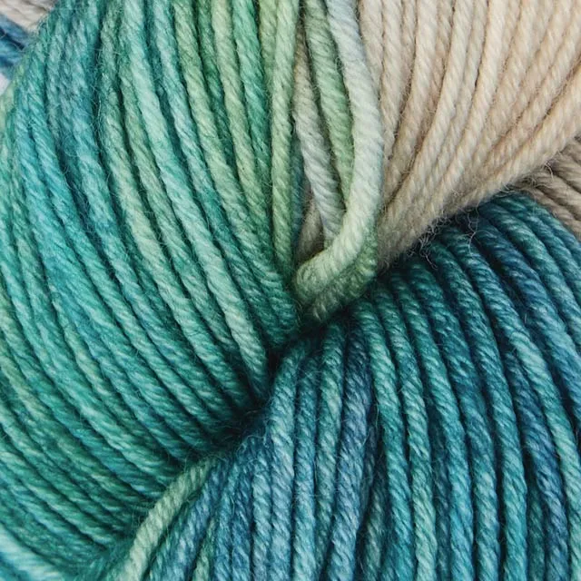 symfonie vive la couleur
