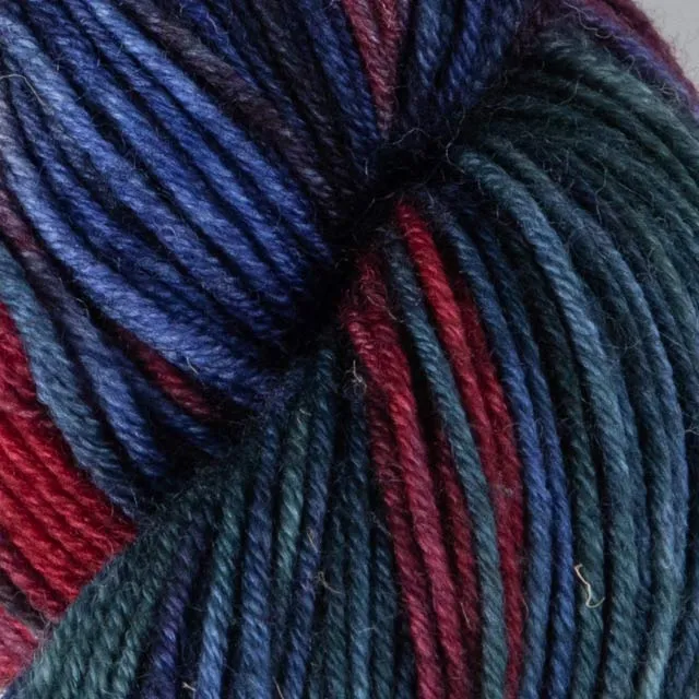 symfonie vive la couleur