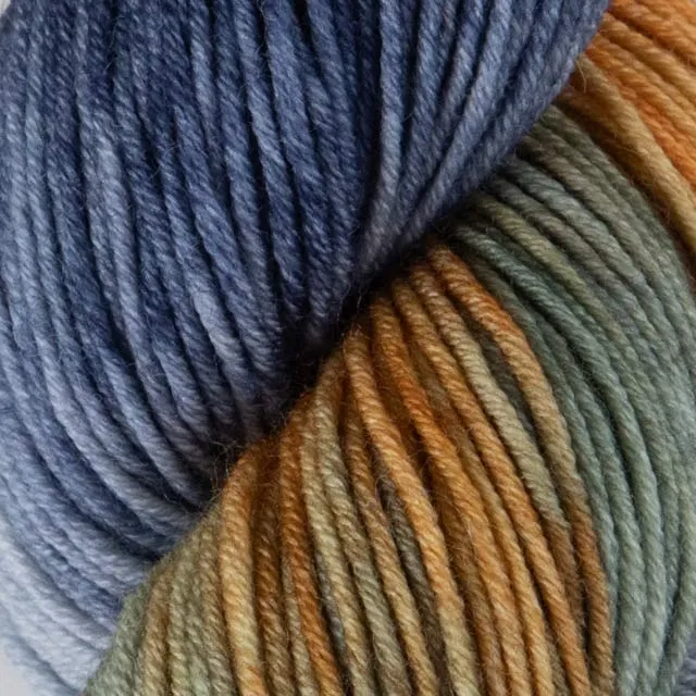 symfonie vive la couleur