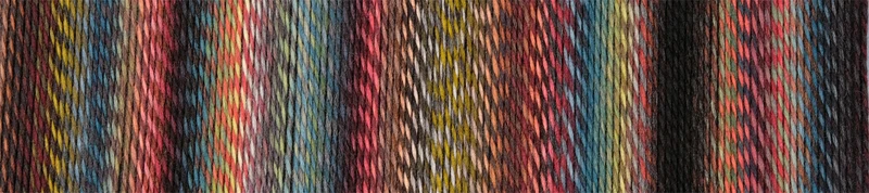 schoppel édition 3.0
