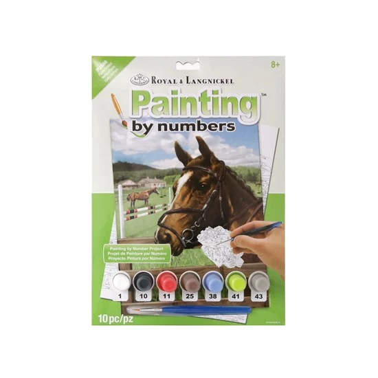 Paint By Numbers Junior Equine Paddock