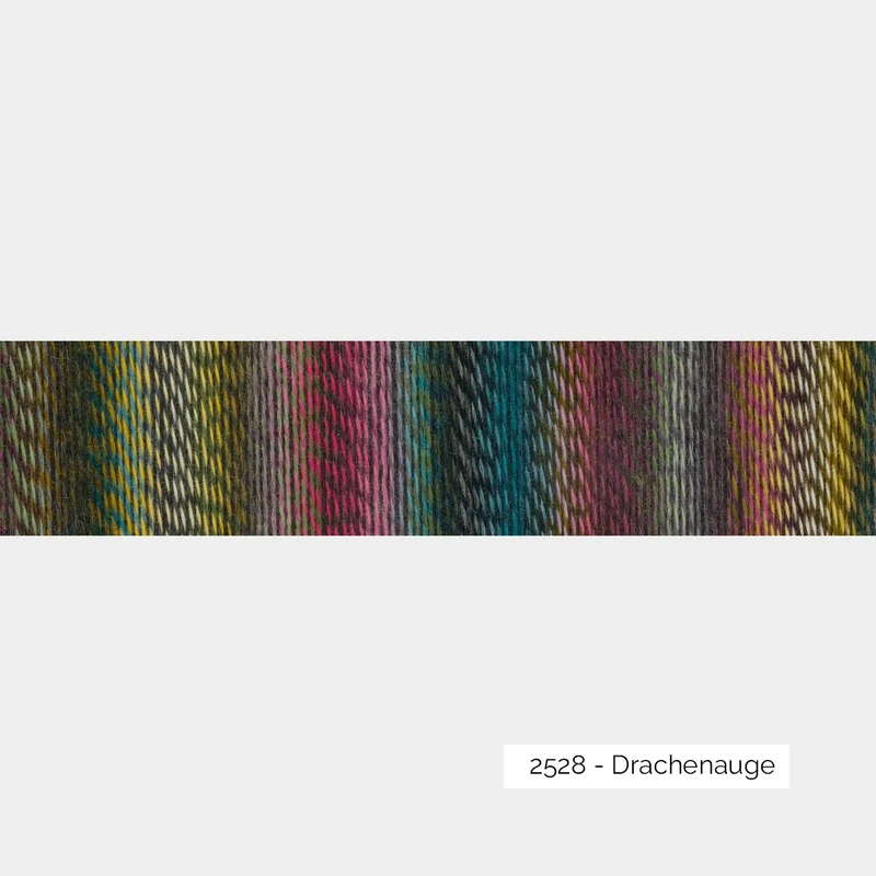 Crazy Zauberball - Schoppel Wolle