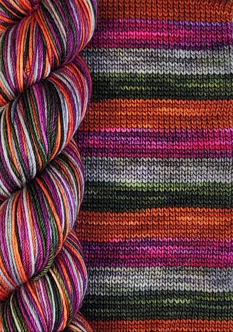 BIS-SOCK CHASSE-GALERIE