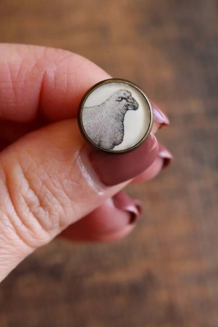 Resin Sheep Buttons / Set of 4