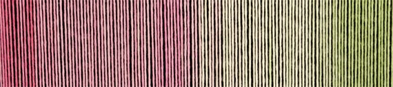 schoppel zauberball cotton