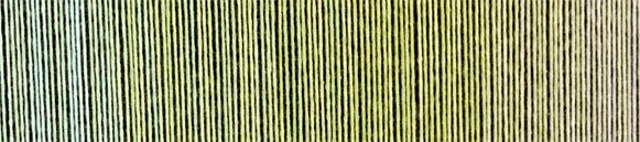 schoppel zauberball cotton