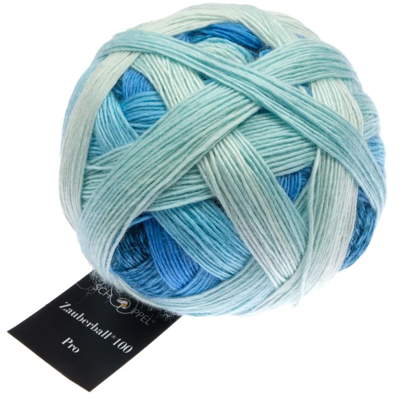 schoppel zauberball 100