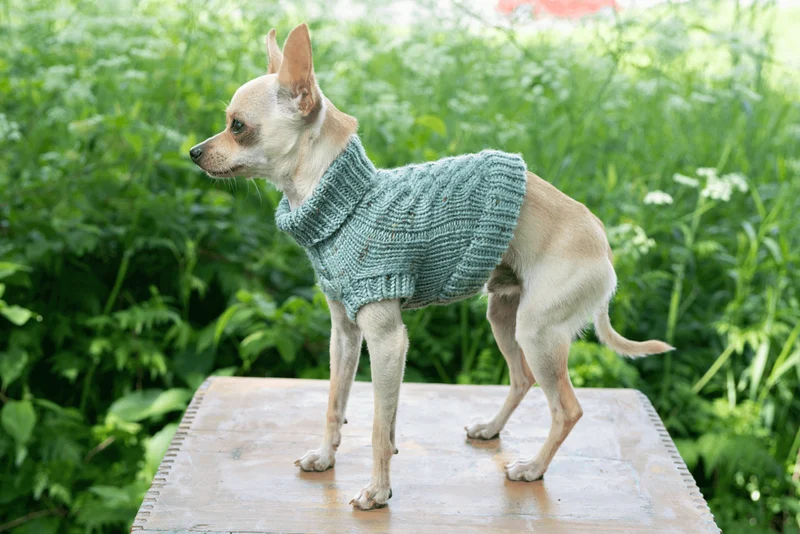 Engel Pullover Dog Pattern
