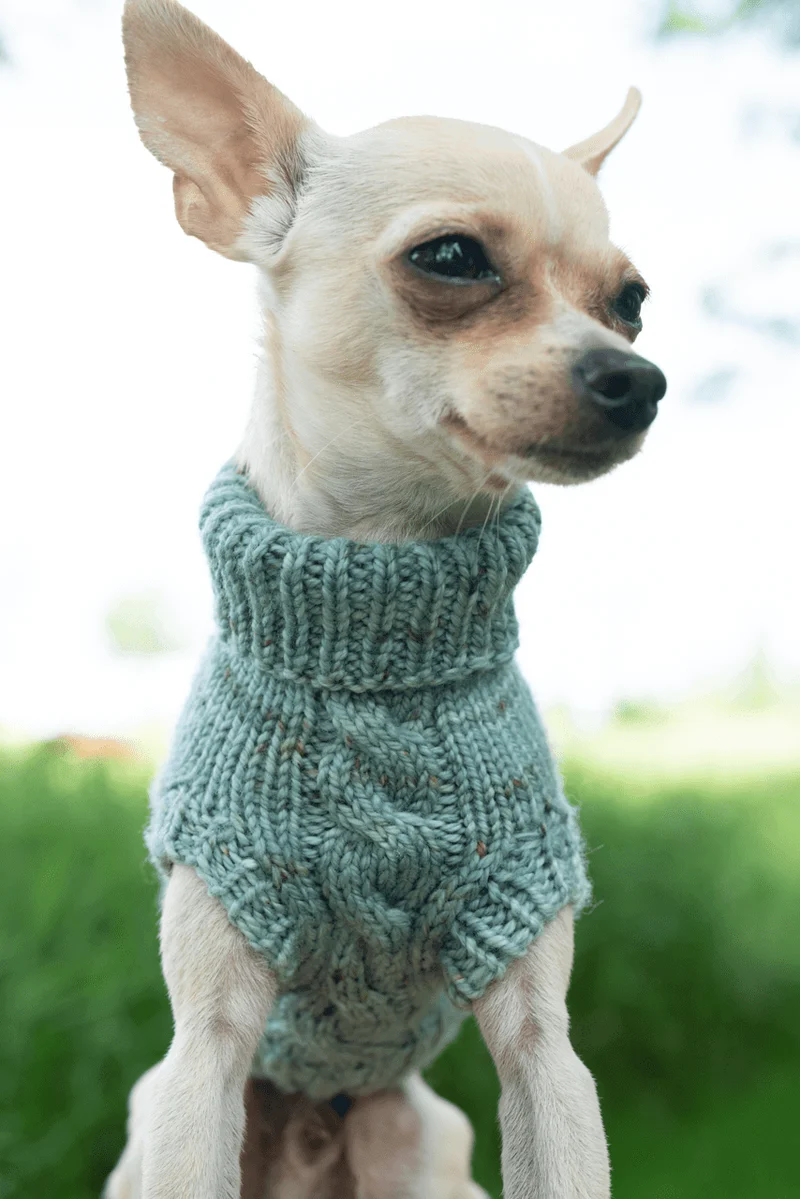 Engel Pullover Dog Pattern
