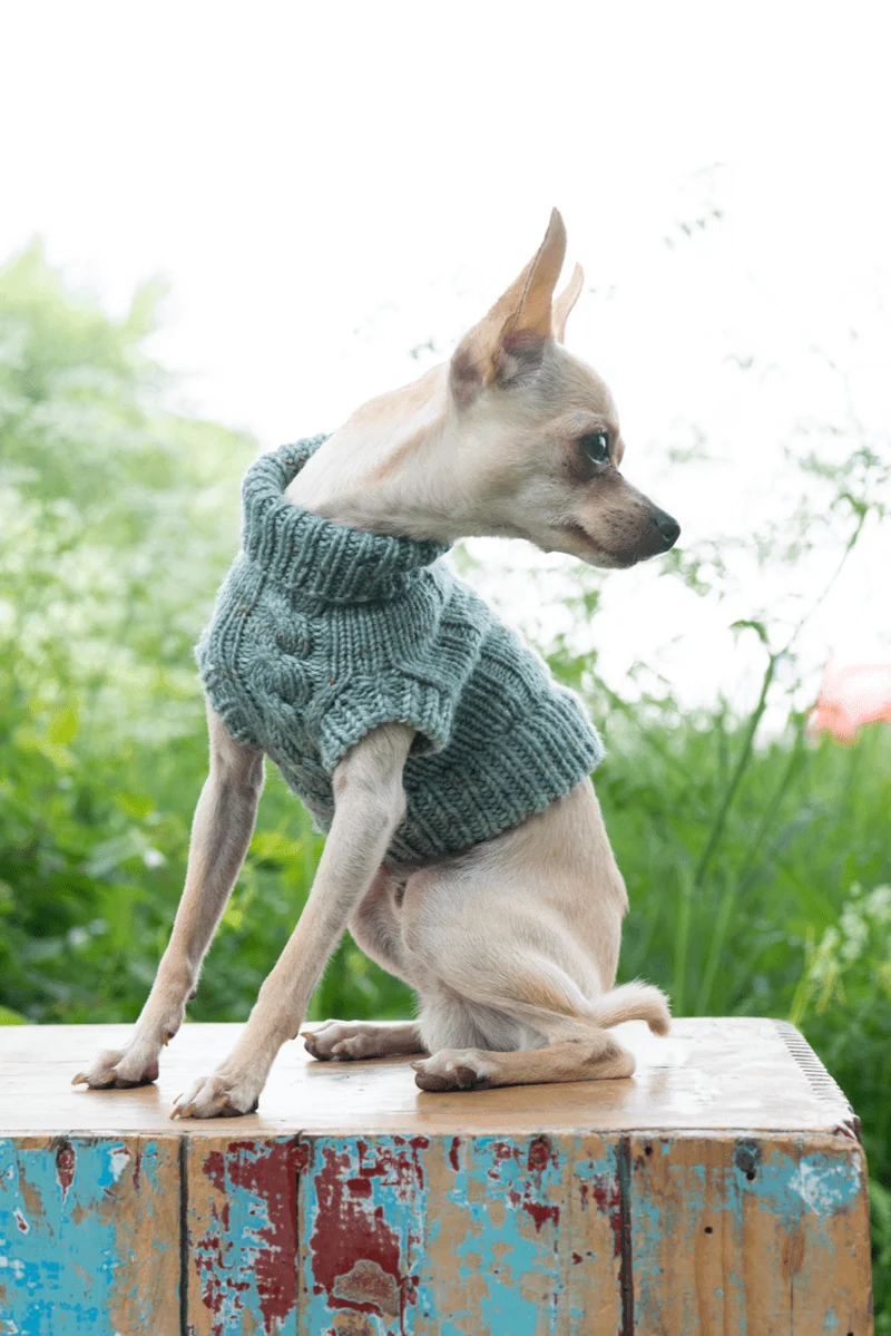 Engel Pullover Dog Pattern