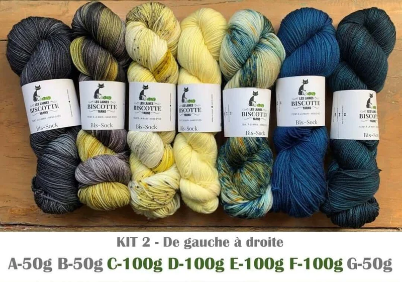 Knitting kit - FIND YOUR FADE shawl by Andrea Mowry