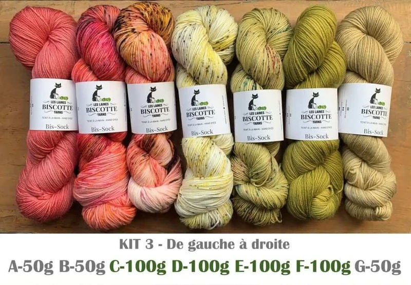 Knitting kit - FIND YOUR FADE shawl by Andrea Mowry