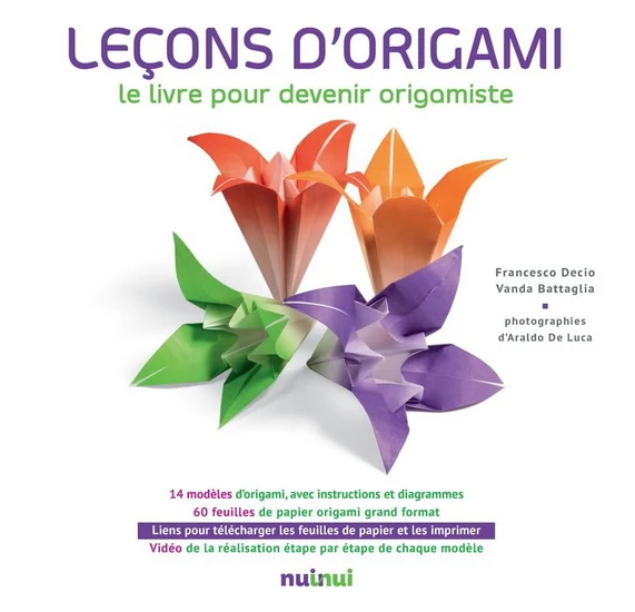Leçons d'origami Cof. N. éd.