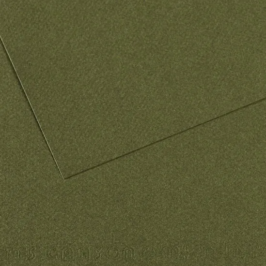 Colored paper - 160gsm - mi-teintes - 50x60cm - ivy