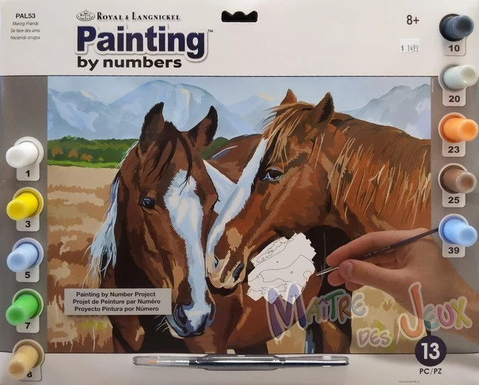Paint By Numbers Junior Friends