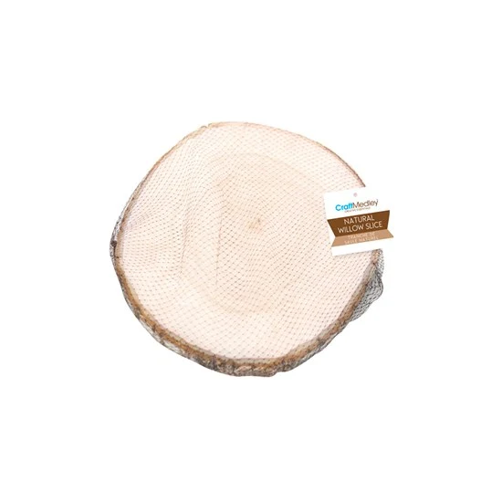 Birch slice - 18-20cm