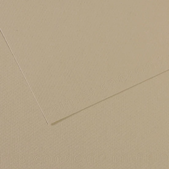Colored paper - 160gsm - mi-teintes - 50x60cm - pearl