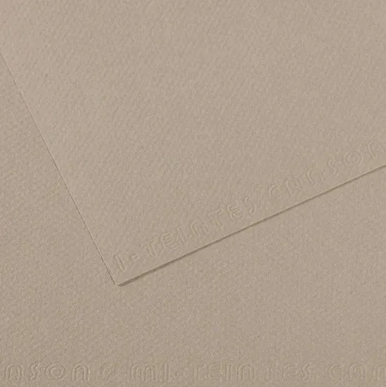 Colored paper - 160gsm - mi-teintes - 50x60cm - flannel gray