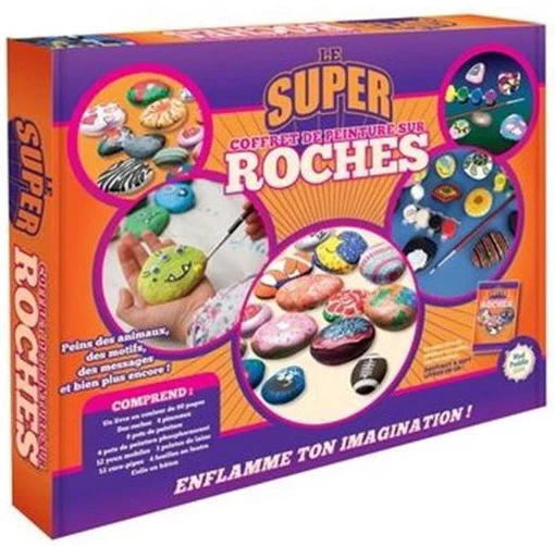 Le Super coffret de peinture sur roches : livre et trousse N. éd.