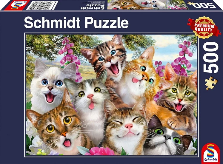 Cat selfie 500pc