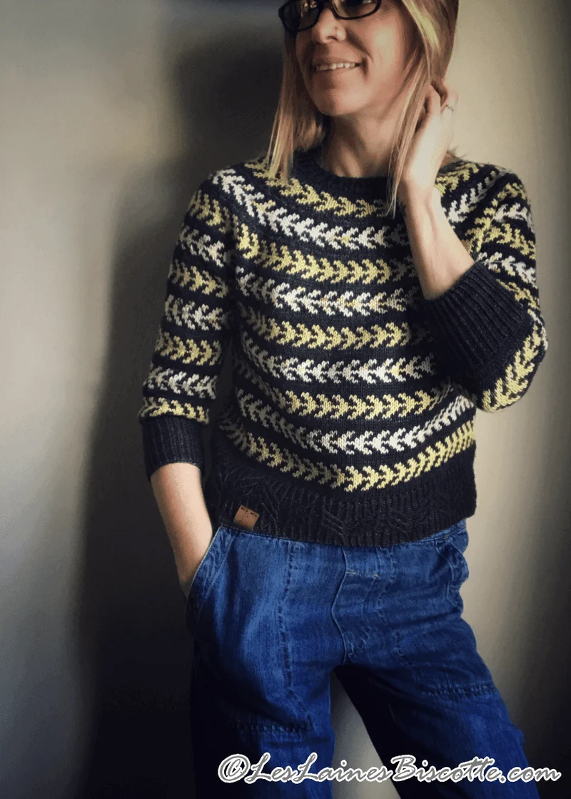 Seascape Sweater Free Pattern form Andrea Yetman