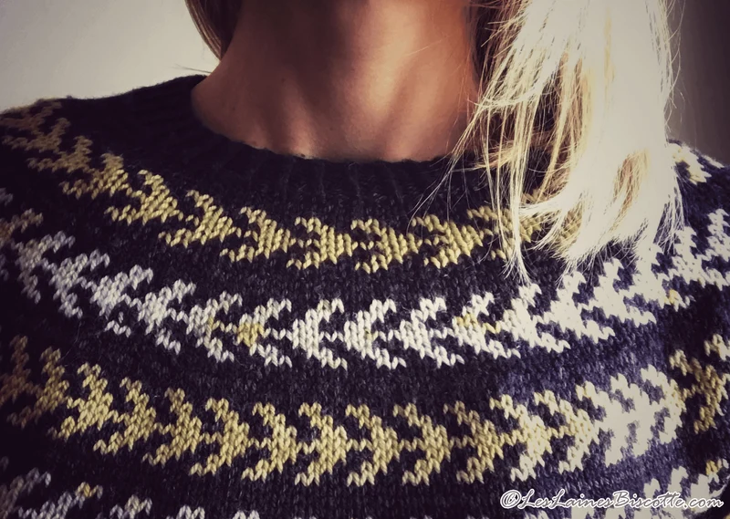 Seascape Sweater Free Pattern form Andrea Yetman