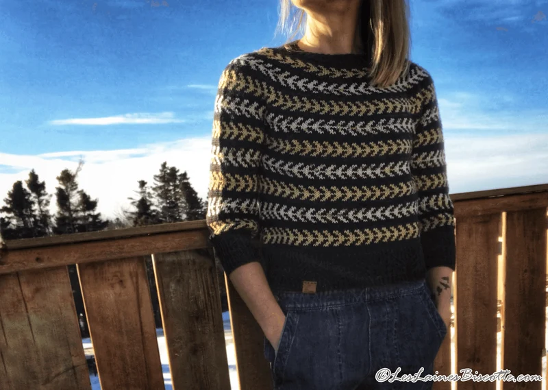 Seascape Sweater Free Pattern form Andrea Yetman