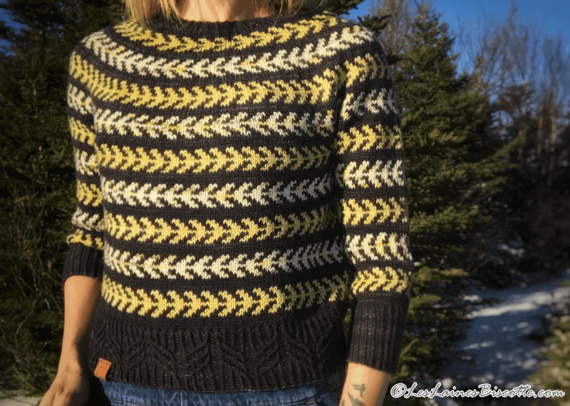 Seascape Sweater Free Pattern form Andrea Yetman