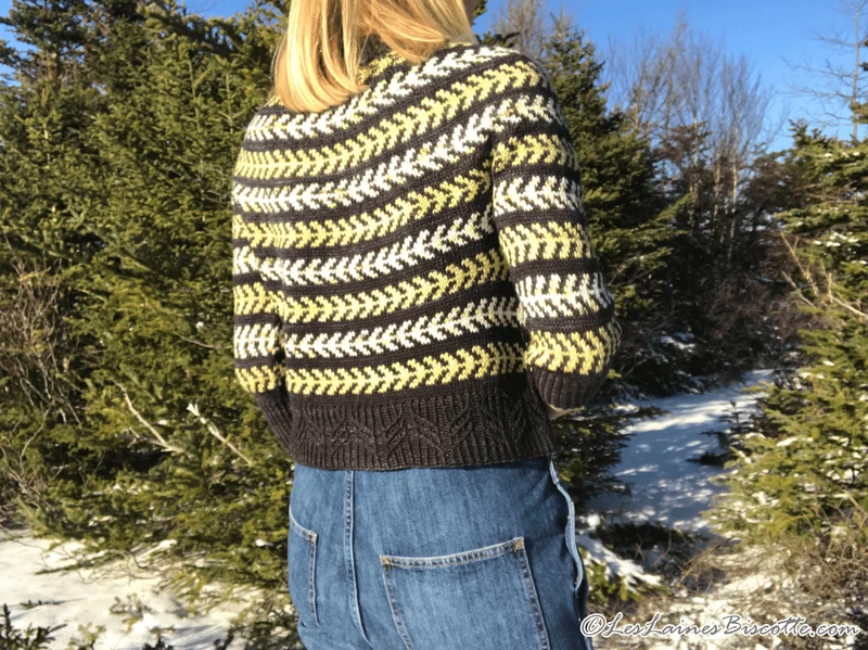 Seascape Sweater Free Pattern form Andrea Yetman
