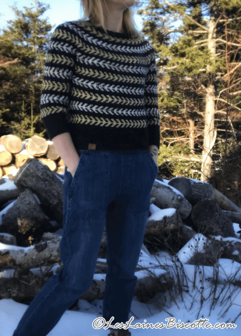 Seascape Sweater Free Pattern form Andrea Yetman