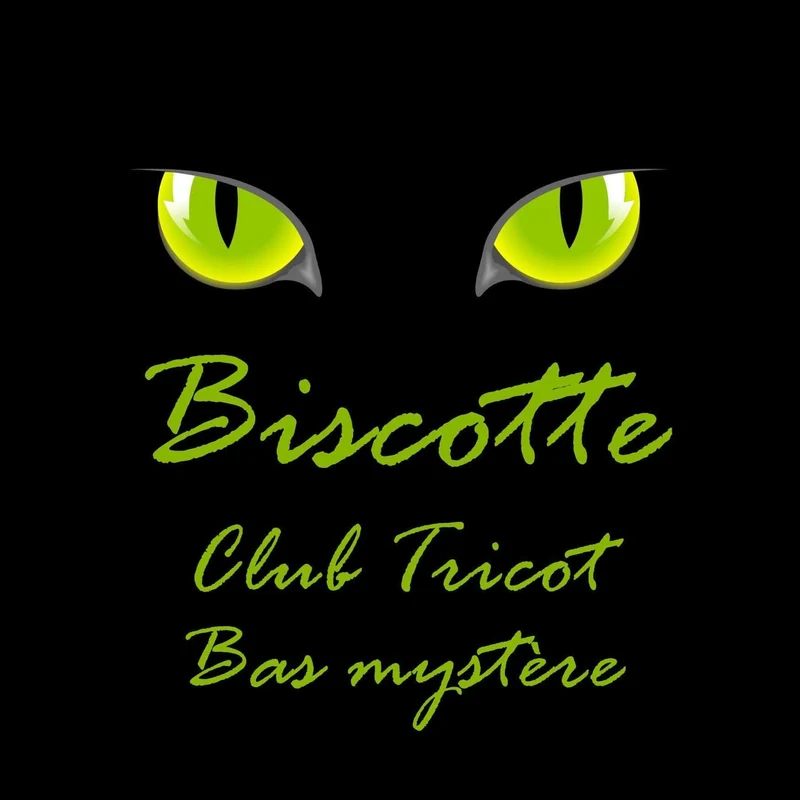 The Mystery Sock Knitting Club Bimonthly Subscription
