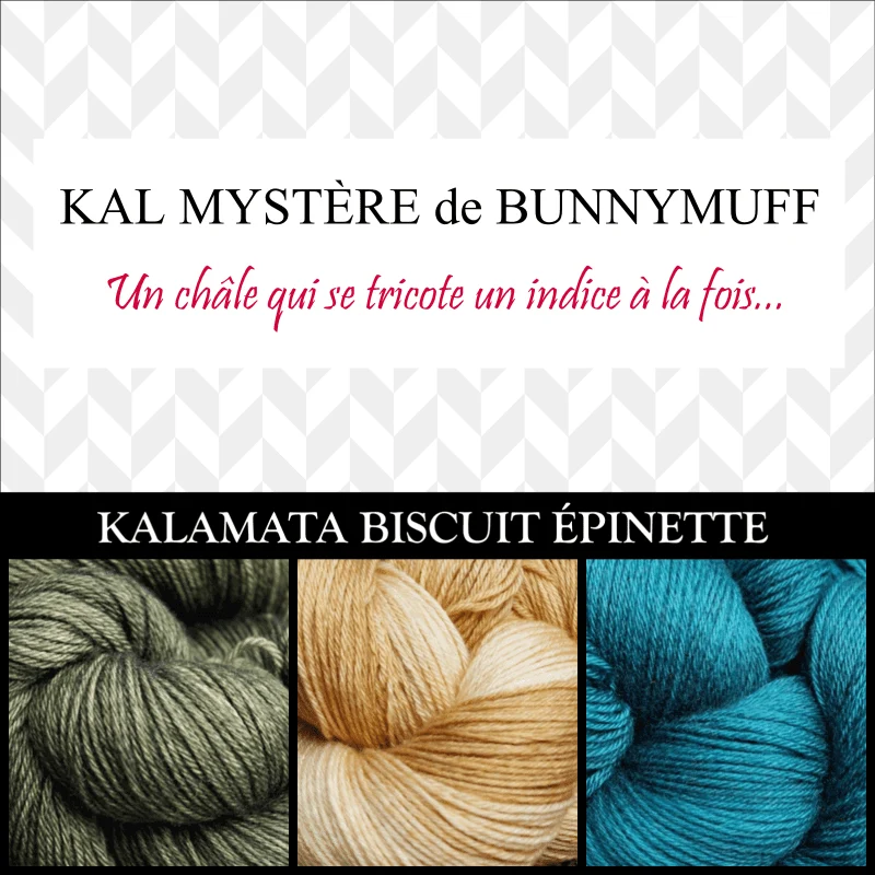 Shawl Knitting Kit by bunnymuff Mona Zillah