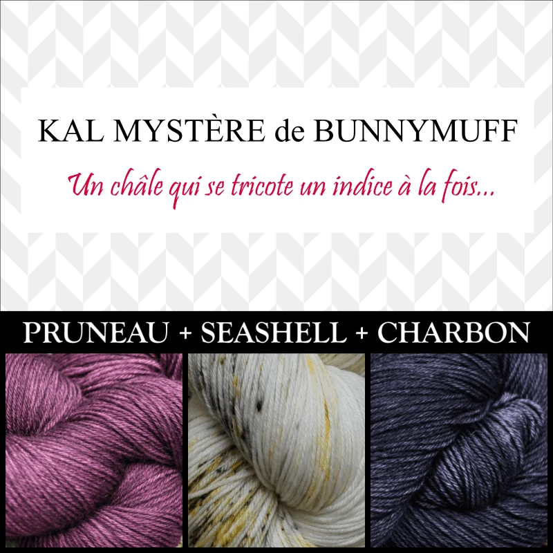 Shawl Knitting Kit by bunnymuff Mona Zillah