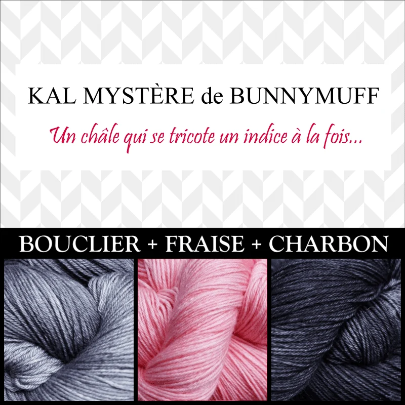 Shawl Knitting Kit by bunnymuff Mona Zillah