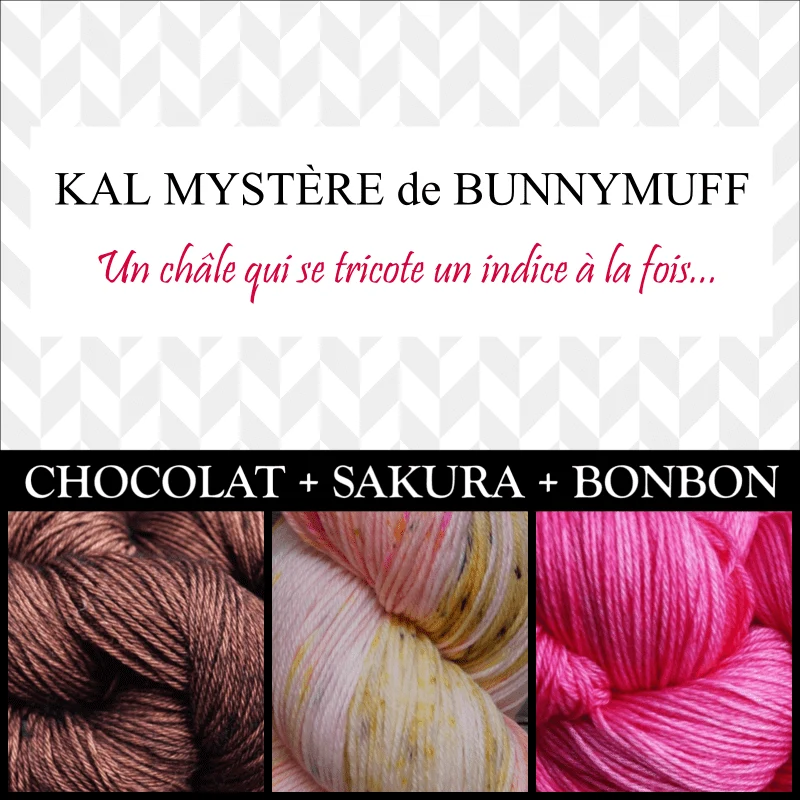 Shawl Knitting Kit by bunnymuff Mona Zillah
