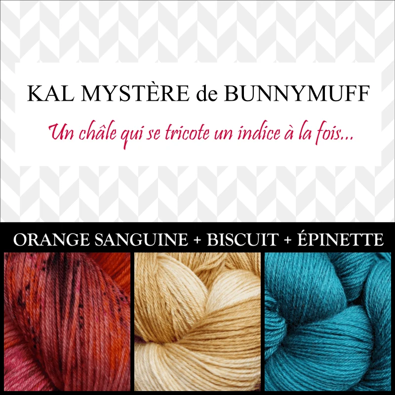 Shawl Knitting Kit by bunnymuff Mona Zillah
