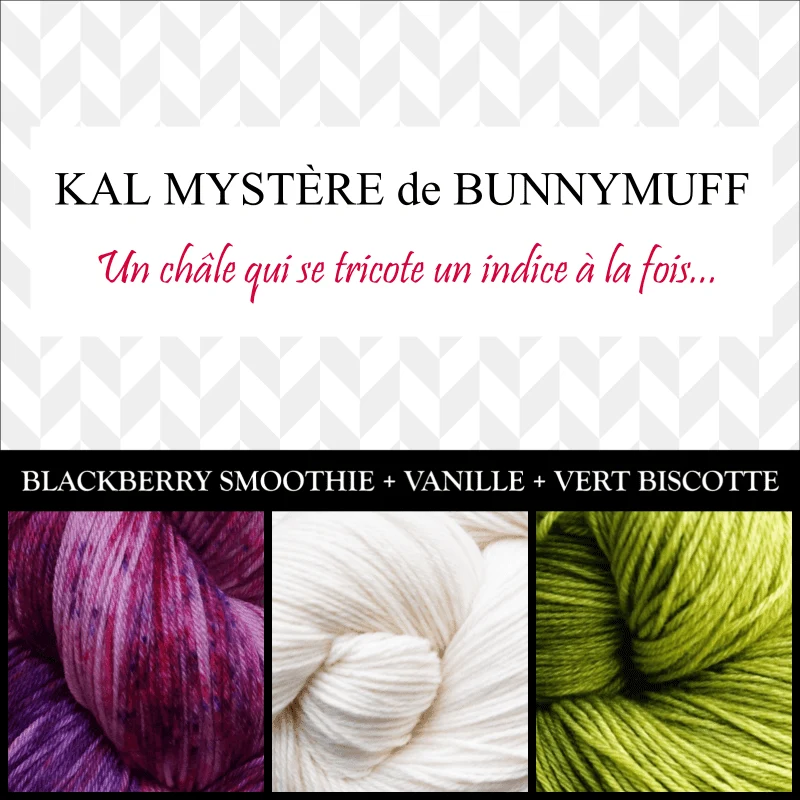 Shawl Knitting Kit by bunnymuff Mona Zillah