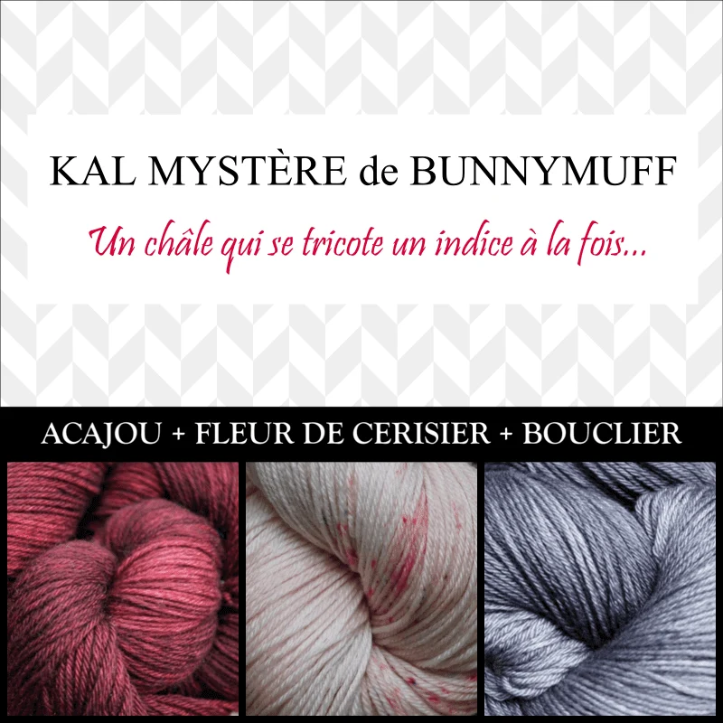 Shawl Knitting Kit by bunnymuff Mona Zillah