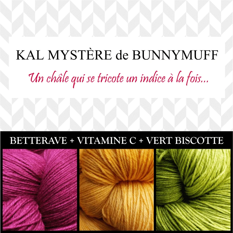 Shawl Knitting Kit by bunnymuff Mona Zillah
