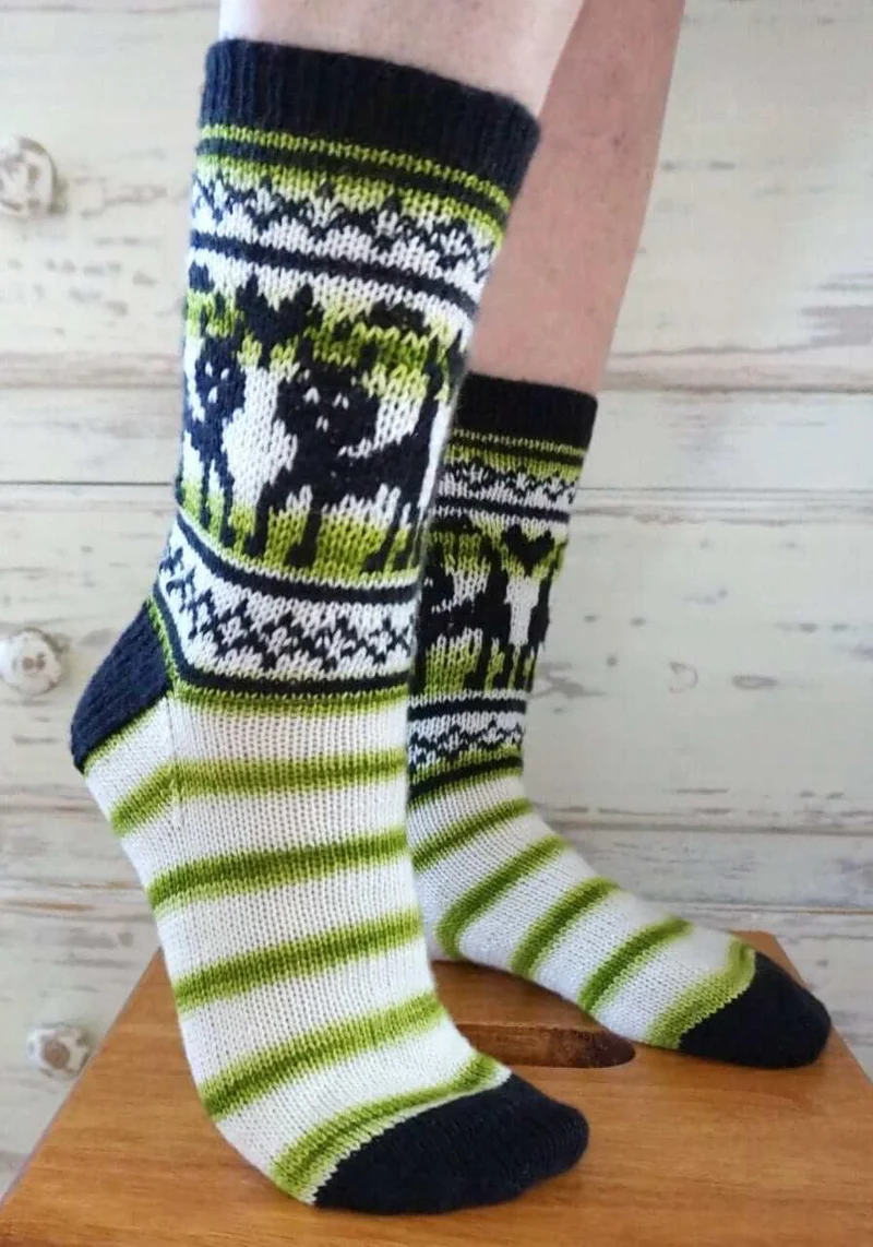 Knitting Kit for socks Claws for Thought