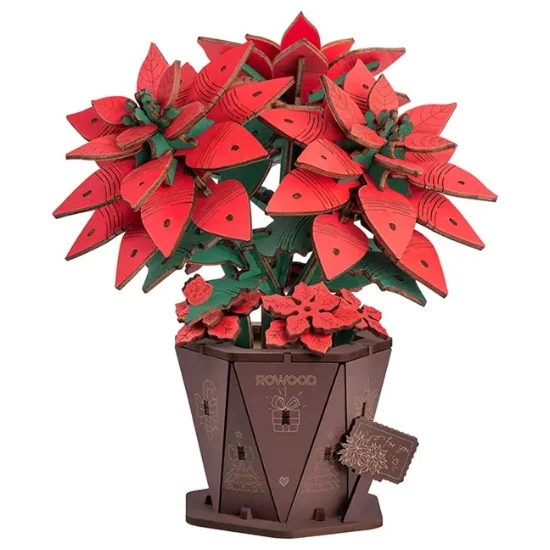 Poinsettia