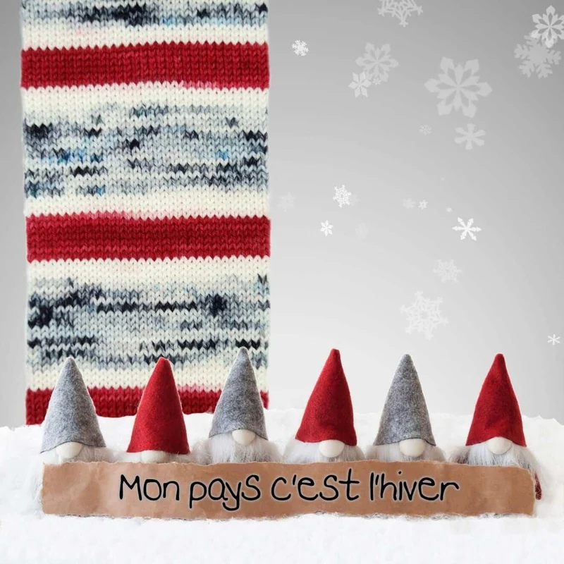 BIS-SOCK MON PAYS C'EST L'HIVER