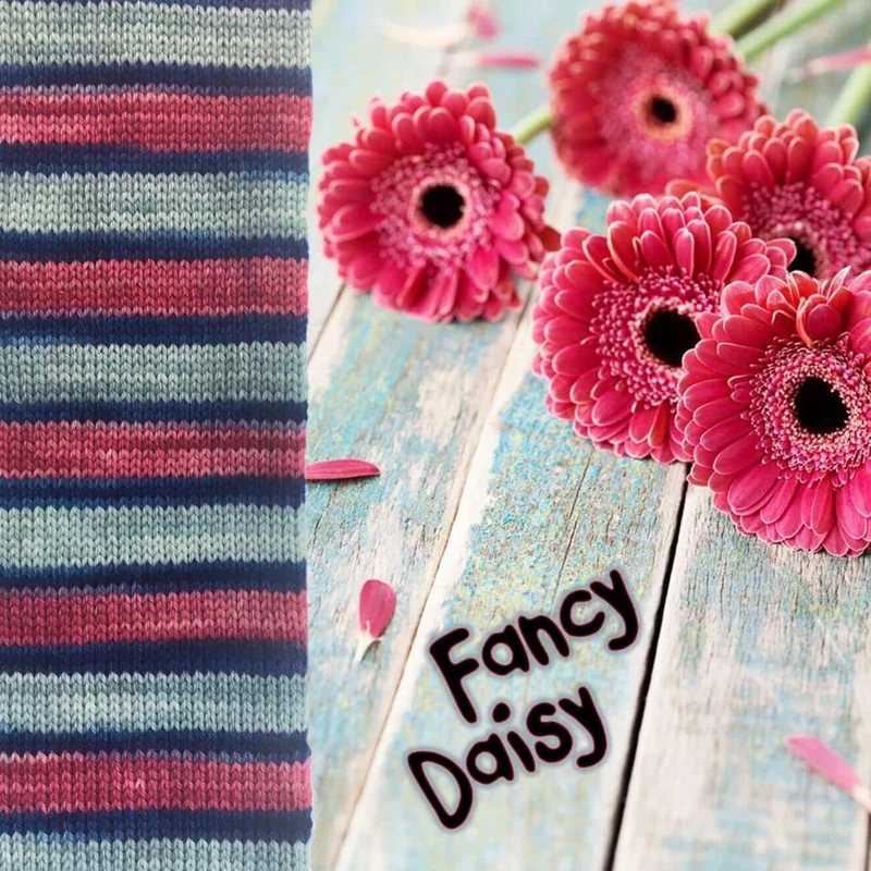 BIS-SOCK FANCY DAISY