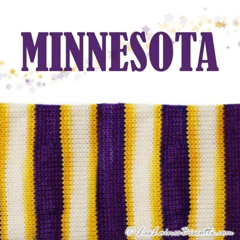 BIS-SOCK MINNESOTA