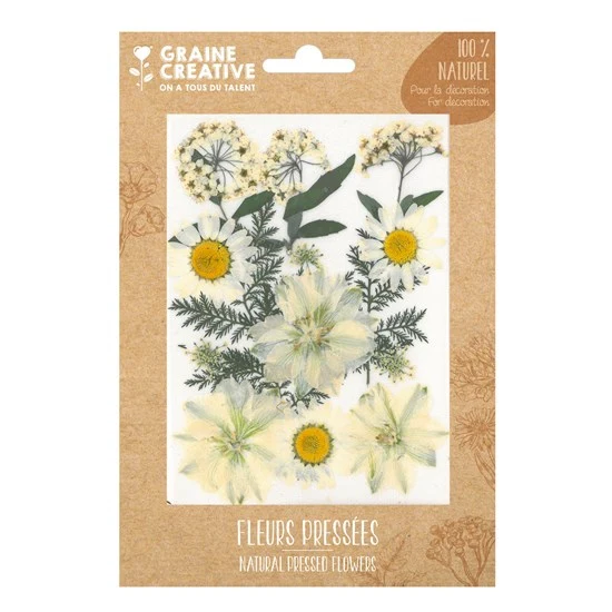 Natural Pressed Flowers - White Meadow, 15 Pieces