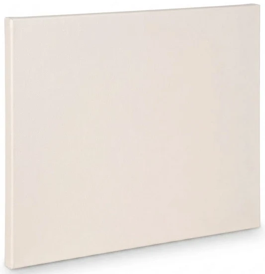 Artist canvas standard - 20x24"