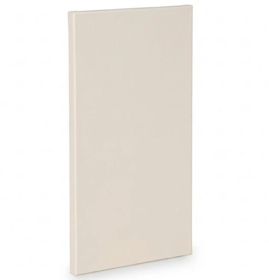 Artist canvas standard - 30x60"