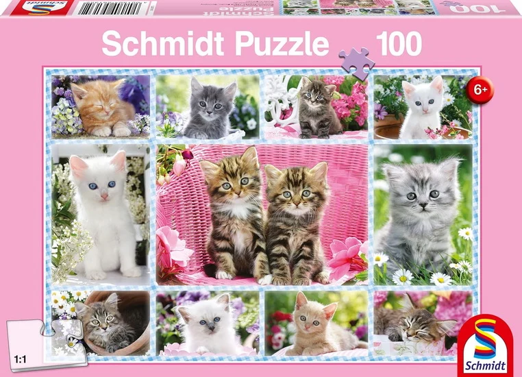 Kittens 100pc