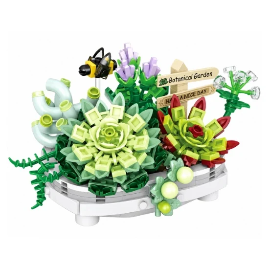 Potted Succulents